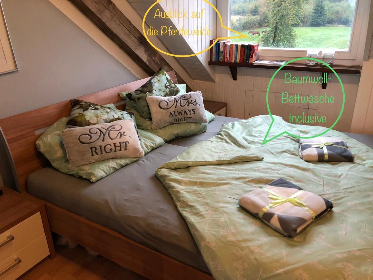 Hof Vierzehnender Im Hohen Venn - 70Qm Fachwerk-Studio - Grosses Wohn-Schlafzimmer Mit Dachterrasse Und Kaminofen - Separate Kueche - Perfekt Fuer Paare - Monschau - Eifel - Hunde Willkommen - Islandpferde ภายนอก รูปภาพ