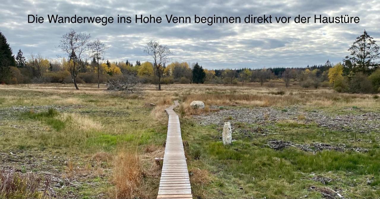 Hof Vierzehnender Im Hohen Venn - 70Qm Fachwerk-Studio - Grosses Wohn-Schlafzimmer Mit Dachterrasse Und Kaminofen - Separate Kueche - Perfekt Fuer Paare - Monschau - Eifel - Hunde Willkommen - Islandpferde ภายนอก รูปภาพ