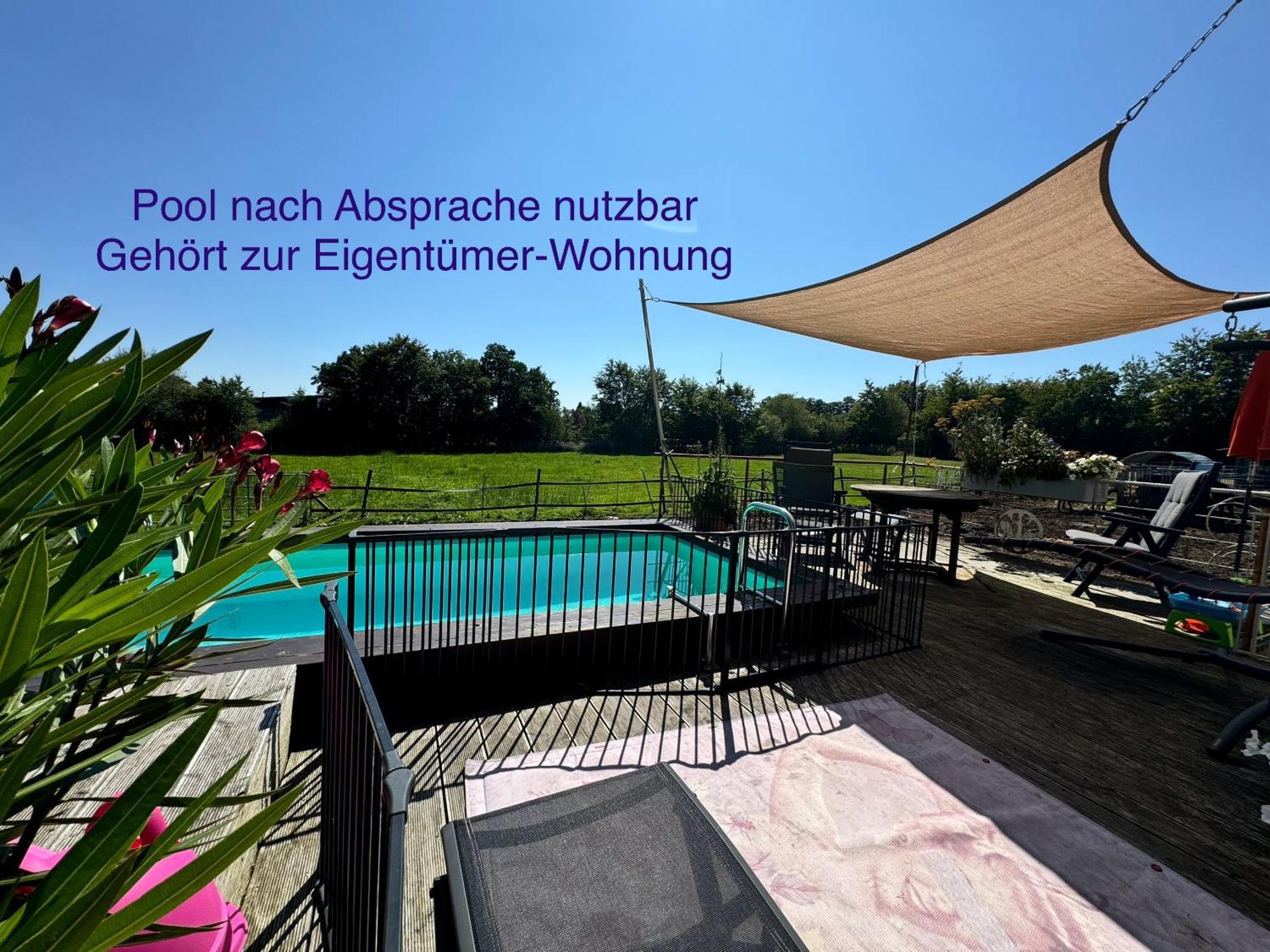 Hof Vierzehnender Im Hohen Venn - 70Qm Fachwerk-Studio - Grosses Wohn-Schlafzimmer Mit Dachterrasse Und Kaminofen - Separate Kueche - Perfekt Fuer Paare - Monschau - Eifel - Hunde Willkommen - Islandpferde ภายนอก รูปภาพ