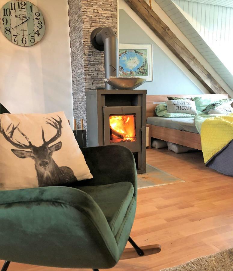 Hof Vierzehnender Im Hohen Venn - 70Qm Fachwerk-Studio - Grosses Wohn-Schlafzimmer Mit Dachterrasse Und Kaminofen - Separate Kueche - Perfekt Fuer Paare - Monschau - Eifel - Hunde Willkommen - Islandpferde ภายนอก รูปภาพ