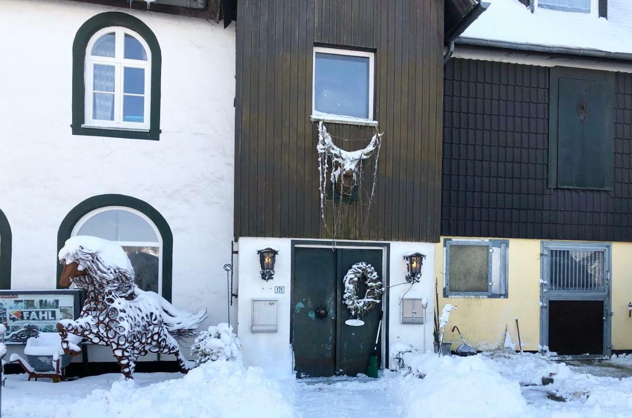 Hof Vierzehnender Im Hohen Venn - 70Qm Fachwerk-Studio - Grosses Wohn-Schlafzimmer Mit Dachterrasse Und Kaminofen - Separate Kueche - Perfekt Fuer Paare - Monschau - Eifel - Hunde Willkommen - Islandpferde ภายนอก รูปภาพ